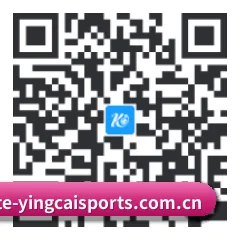 苹果版 iOS 二维码